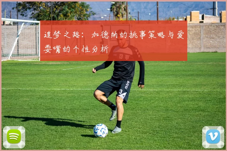 追梦之路：加德纳的挑事策略与爱耍嘴的个性分析